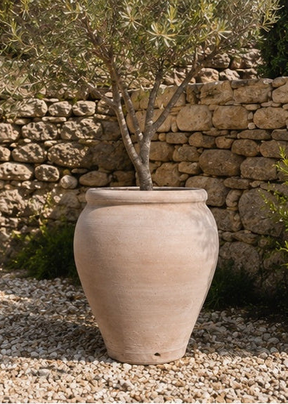 The Olympia Pot